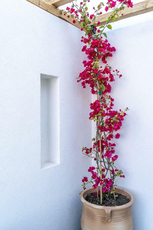 Lemon Suites Santorini Fira  Exterior foto